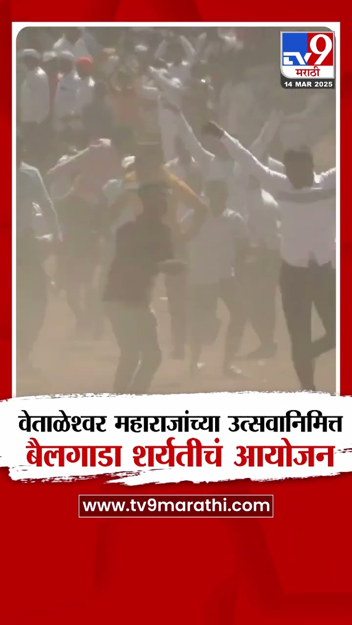 Pune |  वेताळेश्वर महाराजांच्या उत्सवानिमित्त बैलगाडा शर्यतीचं आयोजन
