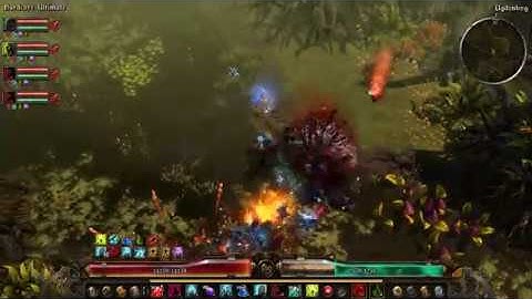 Grim Dawn v1.0.4.0 - My Cabalist Pet Build VS Kubacabra (40 sec) Super Fast Kill