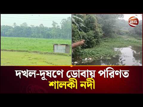 দখল-দূষণে ডোবায় পরিণত শালকী নদী! পৌরসভার বর্জ্য যাচ্ছে পানিতে | Nilphamari | Channel 24