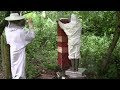 Why I'm Not A Commercial Beekeeper Anymore