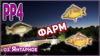 4 трофея за 2 часа на Амино.оз.Янтарное