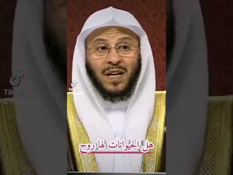 هل الحيوانات لها روح