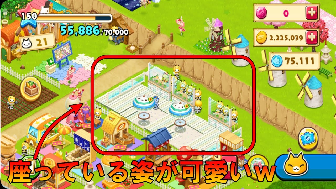 星の島のにゃんこ】2023年！マリンカフェへようこそ！【ほしの島のにゃんこ】 - YouTube