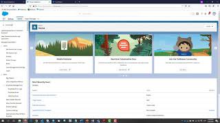 Checking the Status of a Salesforce Instance
