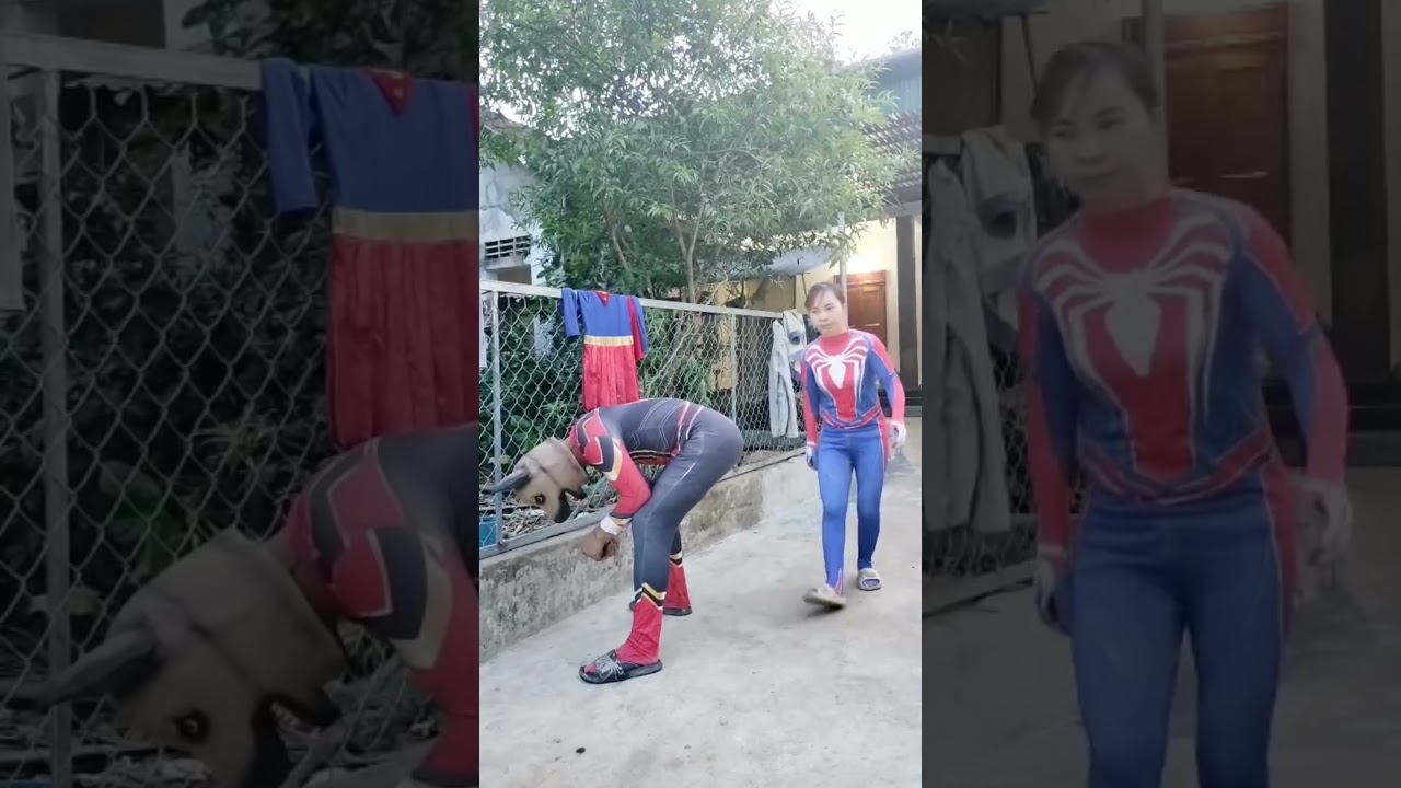 Spider-Man wearing a superhero dog mask