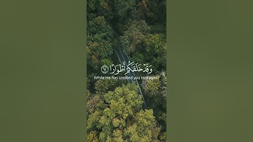 💔 ما لكم لا ترجون لله وقارًا... تلاوة تهز القلوب من سورة نوح!