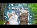 Cat conversations with chip  biskit  ep 20 secret portal