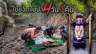 นอนในป่า4 วันน3คืน!! กับดักปลาแซะแงะ ใช้ชีวิตในป่าประเทศพม่า รัฐกะเหรี่ยง?..