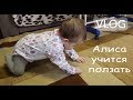 VLOG Алиса учится ползать. Нам вернули Лапусю. Какой позор мне пришлось пережить