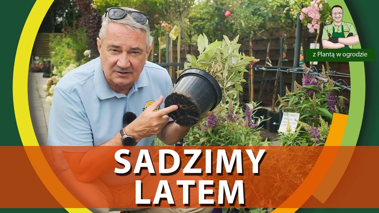 Jak sadzić rośliny latem - Z PLANTĄ W OGRODZIE