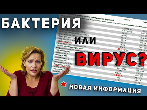 ОБЩИЙ АНАЛИЗ КРОВИ  ВИРУС и БАКТЕРИЯ.