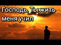 "Господь, Ты жить меня учил" пение (соло) Виталий Осипов