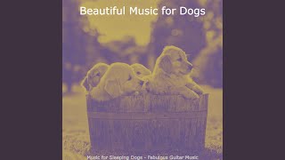 Subtle Moods for Cozy Dogs