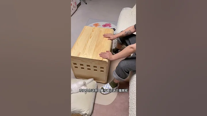 憑啥花了1500都沒哄好生氣的貓咪？？？ - 天天要聞