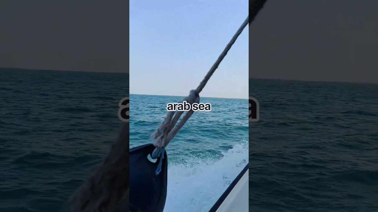 arab seab #sea #shorts #shortvideo #reels #love #motivation #flowers #subscribe #viral