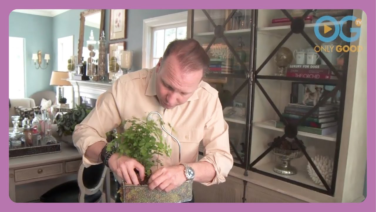 How To Transform Shower Caddies into Planters - Mission Repurpose With Mar  Jennings