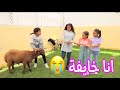 بنت صغيره تفرح بخروف العيد ـ شوف حصل ايه 