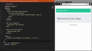 [Getting Started with Angular 2+] Lesson 11   Angular 2 Bacsics