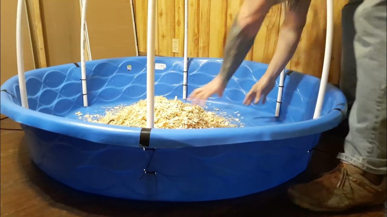 diy pvc kiddie pool chicken brooder YouTube