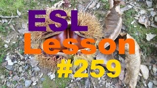 ESL Vocabulary Lesson 259 - crack, deflate, inflate ESL Vocabulary Lesson 259 - crack, deflate, inflate