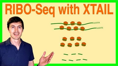 RIBO-seq analysis tools in r studio: Xtail implementation