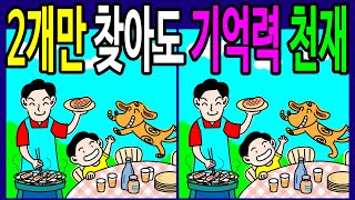 【틀린그림찾기/치매예방】 60대 2개만 찾아도 치매 안심! 기억력 향상! 문제 다 찾으면 아이큐 160 도전! 【다른그림찾기/두뇌운동】 Find the 3 difference