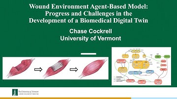 WG/GLIMPRINT Seminars: Cockrell, Muscle Injury Digital Twins, March 6, 2025