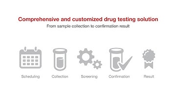 Fully Automated Drug Screening Solution for Drug Courts