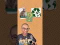 Environmental Impact of Oil Spills