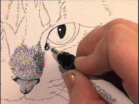 Pen & Ink with Watercolor Wash LIVE Today @ 12:30pm ET – The