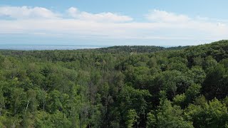 A Bird's Eye View of Downer Park