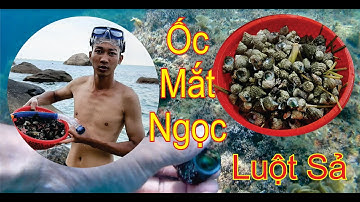 Du Lịch Phú Quốc - Đi Lặn Tìm Ốc Vú, Ốc Nón, Ốc Cờ, Ốc Mắt Ngọc, Ốc Mặt Trăng Luột Sả Quả Đã