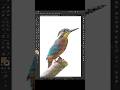 Create Pixel Art Effect in Adobe Illustrator #illustrator #illustratortutorial #design #tutorial