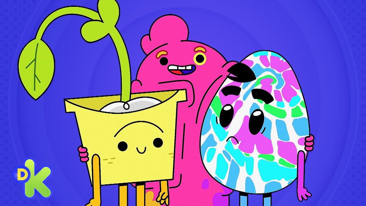 Una nueva imagen para York | Ba Da Bean | Discovery Kids