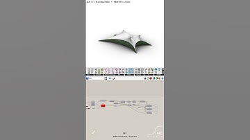 Grasshopper - EX 41 - Kangaroo + Vertex load