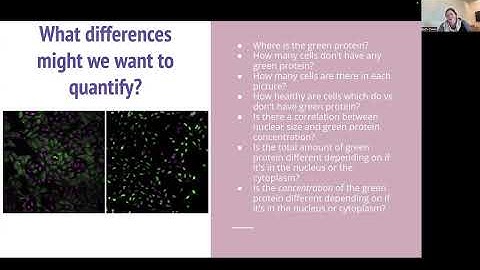 Bilayers for Bioimage Analysts - how can containers make your image analysis life easier?