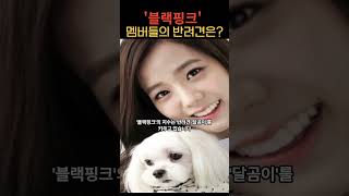 '블랙핑크' 멤버들의 반려견은?