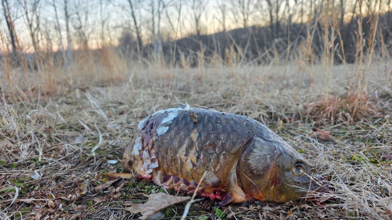 Рыбки-друзья и прогулки по скалам
