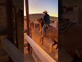 #indigenous #native #viralvideo #tradition #culture