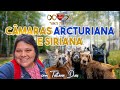Câmeras Arcturiana e Siriana com Tatiana Dias - 08/06/2026