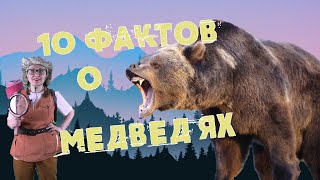 10 удивительных фактов о МЕДВЕДЯХ | Таня-путешественница | Russia bear