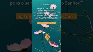 1 Crônicas 28:20 - Bíblia Sagrada - ACF #mensagem #deus #oracao