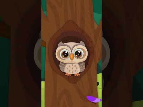 French Songs For Kids Dans La Forêt Lointaine In The Faraway Forest French Nursery Rhymes