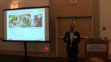Magnus Egerstedt - Encoding Heterogeneity Through Constraints In Multi-Robot Teams