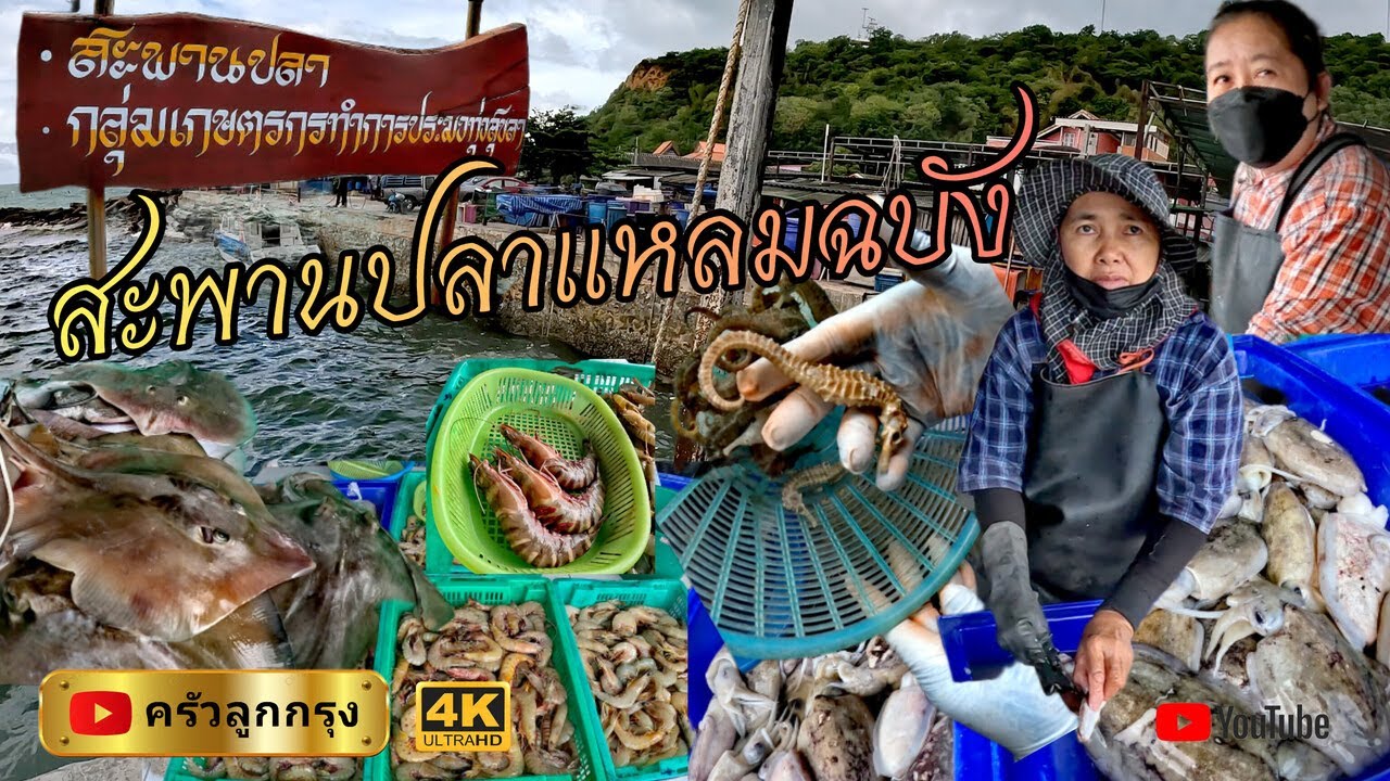 สะพานปลาแหลมฉบัง -สะพานปลากลุ่มเกษตรกรทำการประมงทุ่งสุขลา #ท่าเรือแหลมฉบัง #ประมงพื้นบ้าน #ชาวประมง