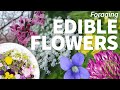 Foraging edible flowers 