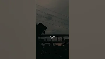 انتهت صلاحيه العسل كلمات 
