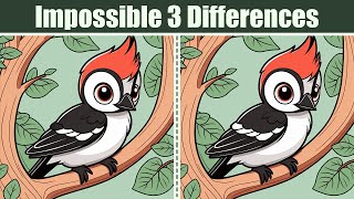 Spot The Difference : Impossible 3 Differences | Find The Difference #127 Net Worth