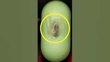 Os técnicos não querem que você saiba DISSO! #curioso #incrível #interessante