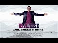 Anil bheem  bmrz  baazi 2020 bollywood cover